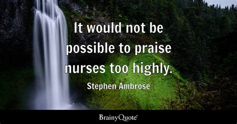 Stephen Ambrose - It would not be possible to praise...