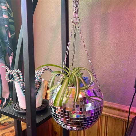 Dado Disco Ball Plant Hanger With Retro Packaging Jisu31