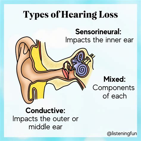 Teaching Parts Of The Ear How And Why Listening Fun