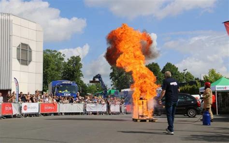 Oerwandeling Over De Halveterberg Rapalje Zomerfolk Festival En