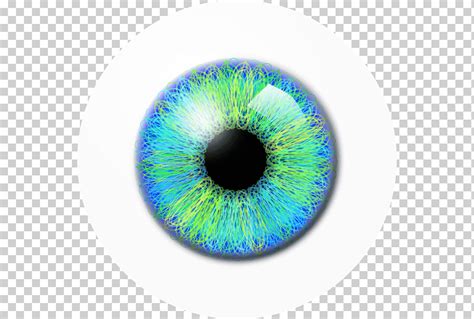 Icono De La Pupila Del Ojo Ojo Azul Gente Ojo Humano Png Klipartz