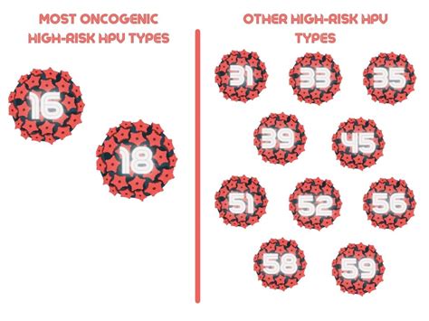 HPV Loại 58 Hiểu Biết và Phòng Ngừa Mở Ra Cánh Cửa Mới Trong Điều