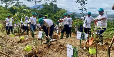 Lestarikan Lingkungan WIKA Dan BRIN Tanam 29 Spesies Pohon Langka