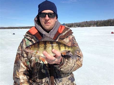 Ice Fishing For Walleye Jumbo Perch On Lake Gogebic In Michigan S