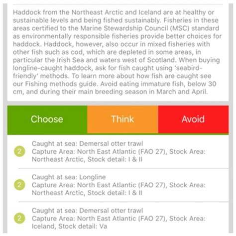 Revolutionizing Ocean Conservation