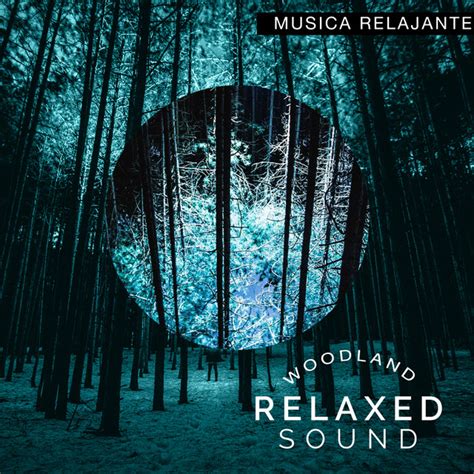 Woodland Relaxed Sound Album By Musica Relajante Spotify