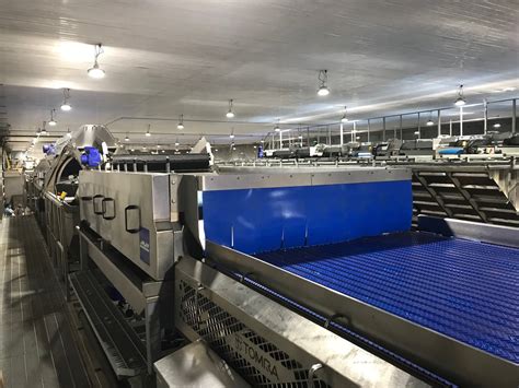 Field Potato Sorter Crop Washing Crop Sorting Hjv Engineering