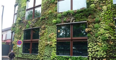 Buildings Made Of Moss Growing Concrete” Could Remove More Co2 And Air