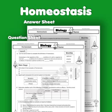 15 Sheet Homeostasis GCSE Homework Bundle Rocketsheets Co Uk