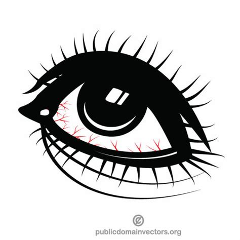 Human Eye Vector Clip Art Public Domain Vectors