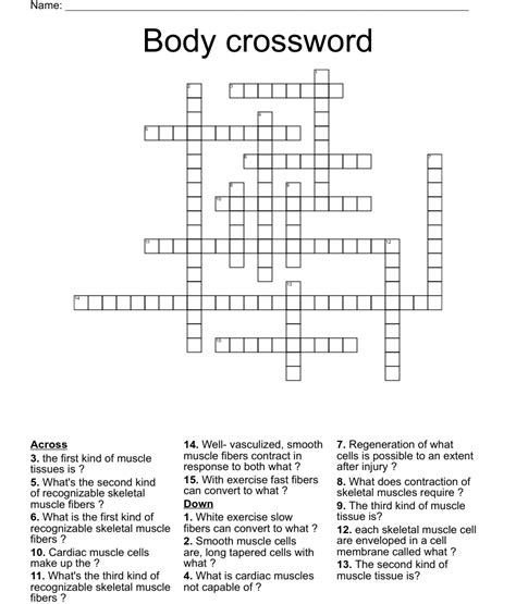 Body Systems Crossword Puzzle Printable