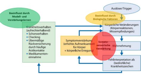 Tiologie Von Somatoformen St Rungen Karteikarten Quizlet