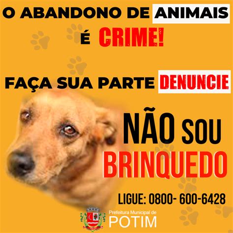 Campanha Abandono E Maus Tratos Dos Animais Crime E Deve Ser