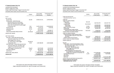 5 Format Laporan Keuangan Fungsi Dan Contohnya