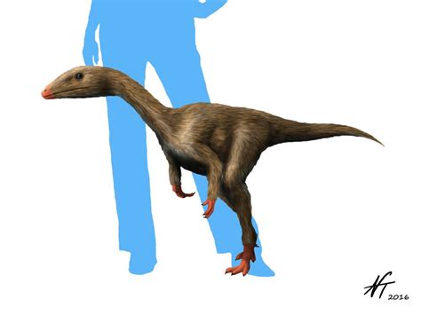 Dracoraptor - Alchetron, The Free Social Encyclopedia