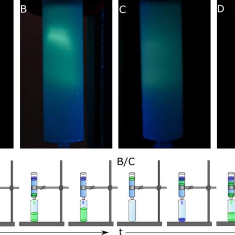 Size Exclusion Columns Sephadex Of A Dish Detergent Pyranine