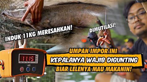 BANDEL BANGET UMPAN IMPORT BIKIN BENANG TERBARU DARI DAIDO STRIKE