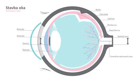 UVEA Mediklinik Ako vzniká zrak