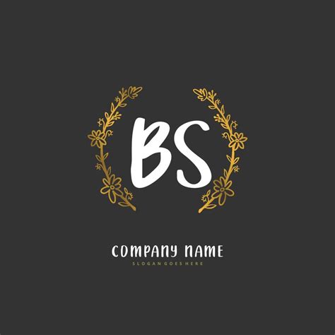 BS Initial Handwriting And Signature Logo Design With Circle Beautiful