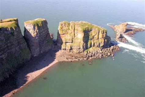 Bay Of Fundy Alchetron The Free Social Encyclopedia