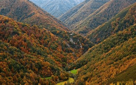 Continental to Arid Climate Zones Becoming Less Apt for Biodiversity in ...