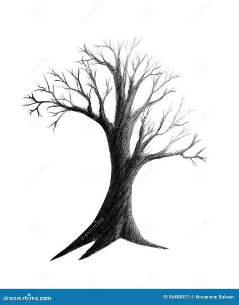 Árbol Seco Del Dibujo De Lápiz Imagen de archivo Imagen de bosquejo