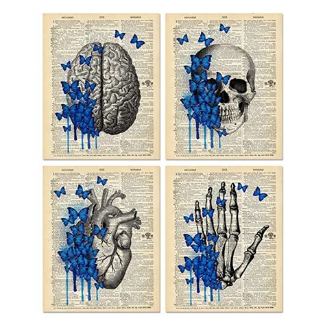 Buy Vintage Anatomy Poster, Anatomy Posters, Medical Posters - Set of 4 ...