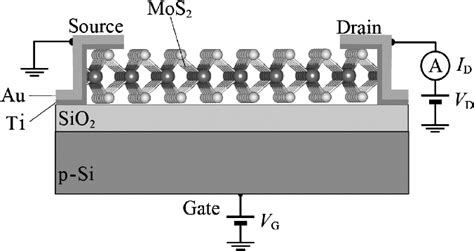 Schematic Illustration Showing The Structure Of The MoS2 FET Device