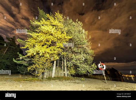 Swedish Beach Hi Res Stock Photography And Images Alamy