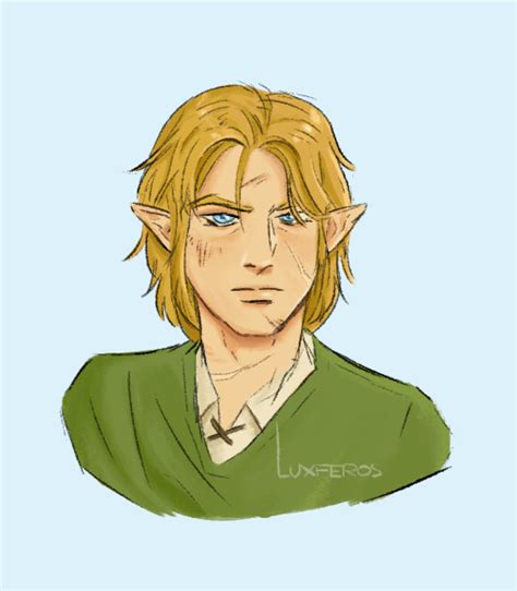 All Oc Older Link With A Couple Of Scars Rzelda