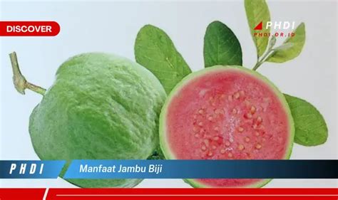 Ketahui 5 Manfaat Jambu Biji Yang Jarang Diketahui