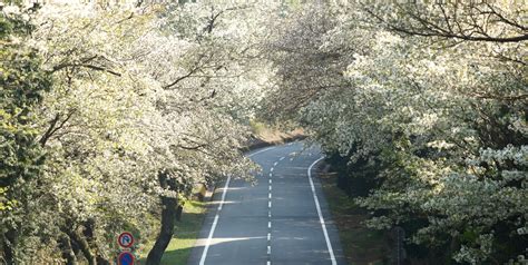 伊豆スカイラインのご案内 静岡県道路公社