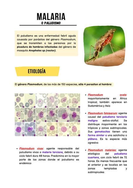 Malaria Anatolearning notes Fátima Paico B uDocz