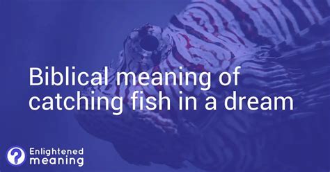 Biblical Meaning Of Catching Fish In A Dream A Revelation Of God S