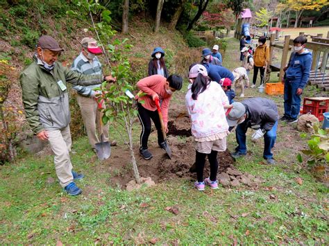 11 6こもれびサークルで”森に木を植えよう”を行いました 福岡県立四王寺県民の森