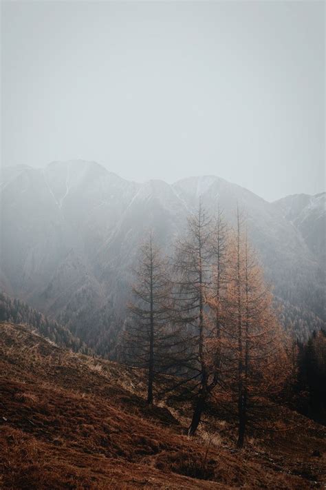 Foggy Day In Autumn Free Image By Rawpixel Eberhard