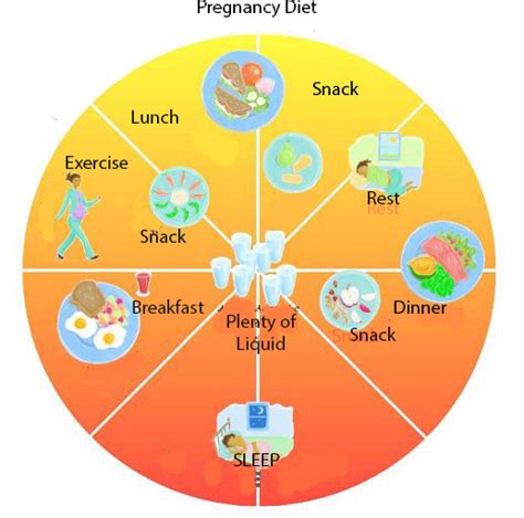 Maternal Nutrition – Health and Fitness