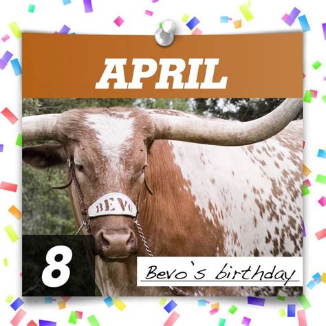 Timeline Photos Longhorn Network Bevo Longhorn Texas Sports