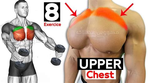 Best 8 Exercises Bigger Upper Chest Workout Youtube