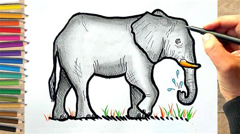 Comment Dessiner Un éléphant Facilement éléphant Dessin Couleur Youtube