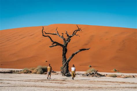 Guide To Visiting Deadvlei And Sossusvlei Namibia Things To Do And Important Tips For Your Visit