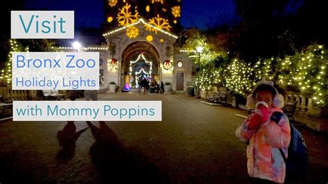 Bronx Zoo Holiday Lights Youtube