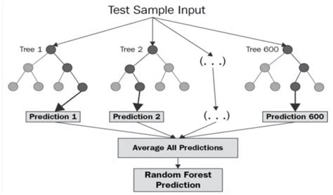 Random Forest Architecture Download Scientific Diagram