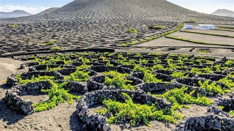 Plantar Rocas Volc Nicas En Los Cultivos Para Aumentar La Captura De