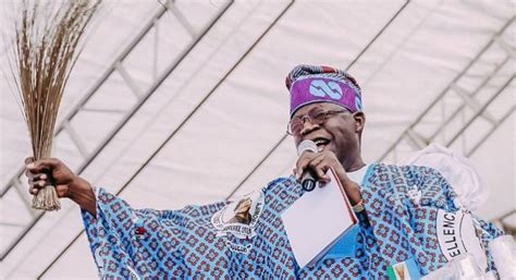 Ogunlewe Why Tinubu Deserves To Be President In Pulse Nigeria