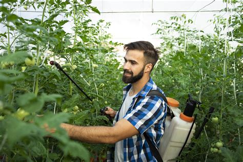 Slaba Kontrola Pesticida U Srbiji Bolja Zemlja