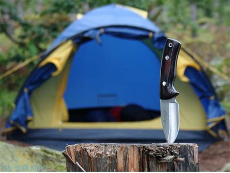 Top 5 Best Camping Knife Reviews in 2024 – MyFilletKnife.com