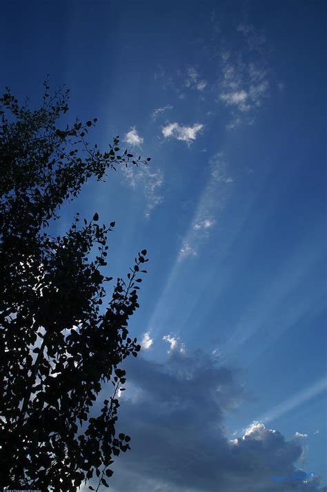 Majestic Sky And Aspen Photograph By Mick Anderson Fine Art America