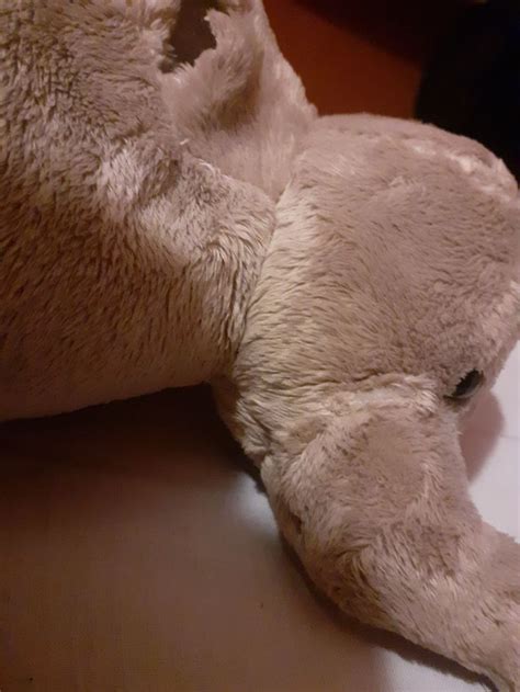 The Amazing World of Queen Mattéo Naked Shaved Gray Elephant en