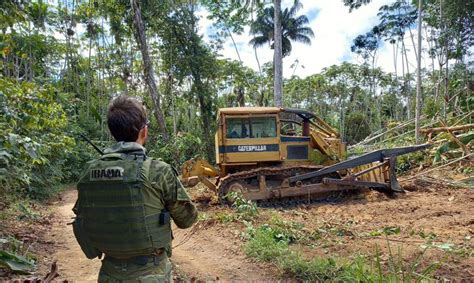 La Policía Federal De Brasil Desmantela 200 Campamentos Mineros